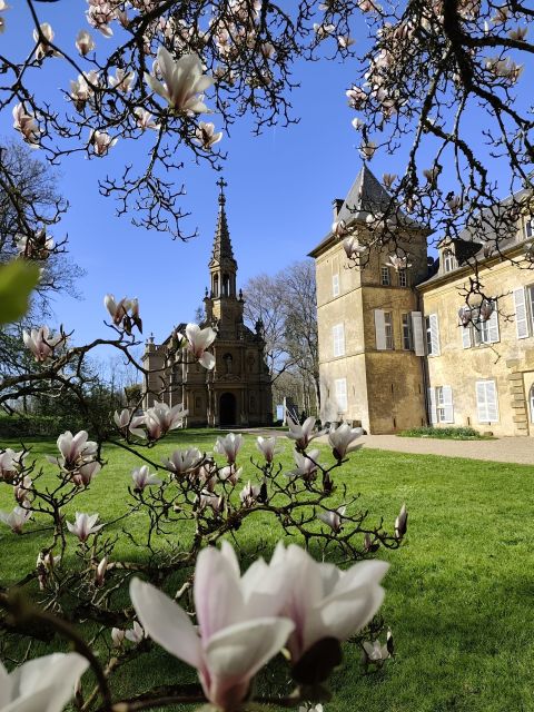 Château de Preisch - Moselle Trois Frontières - Magnolia en fleurs