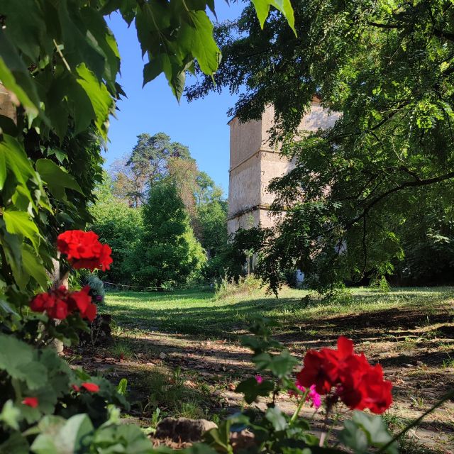 Château de Preisch - Moselle Trois Frontières - Géranium et colombier