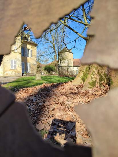 Château de Preisch - Trois Frontières Moselle - Perspective plaque du platane