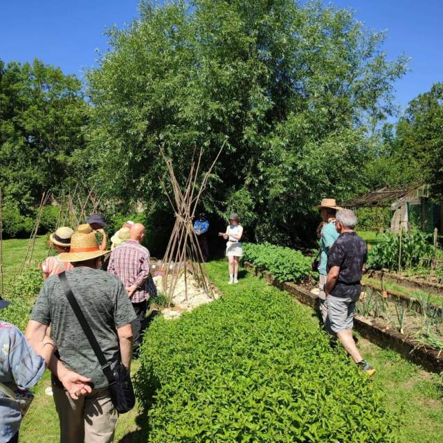 groupe au potager