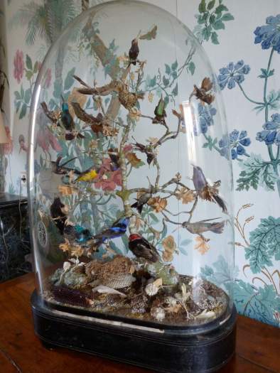 cloche aux colibris