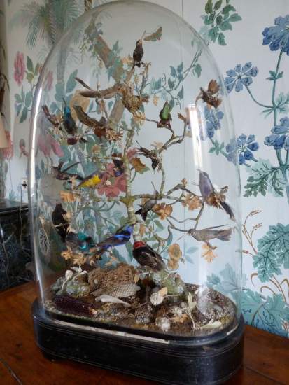 cloche aux colibris