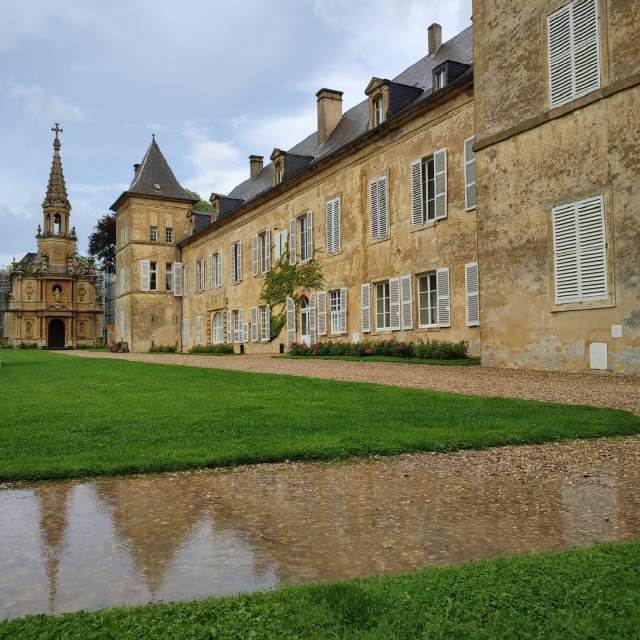 reflet dans la flaque