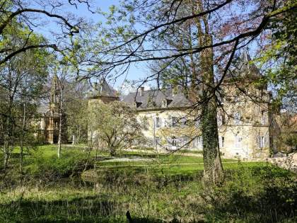 chateau derrière les arbres