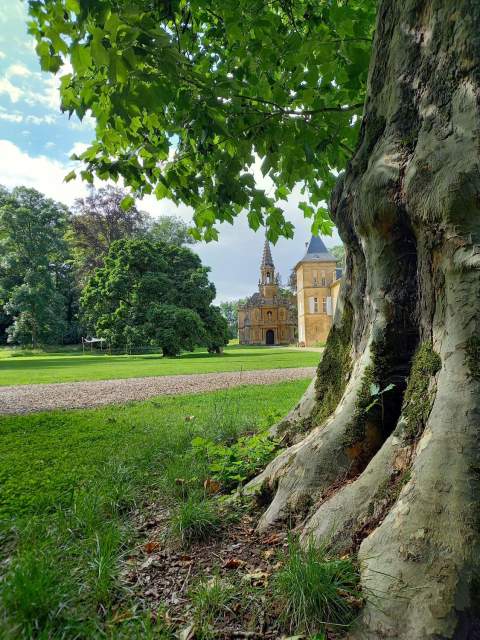 Château de Preisch - Moselle Trois Frontières - Pied du platane 