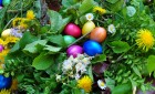 Grande chasse aux œufs de Pâques 2017