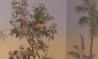 06.09.15 Visite passion: « La maison Züber ou l’art de mêler botanique et exotisme »